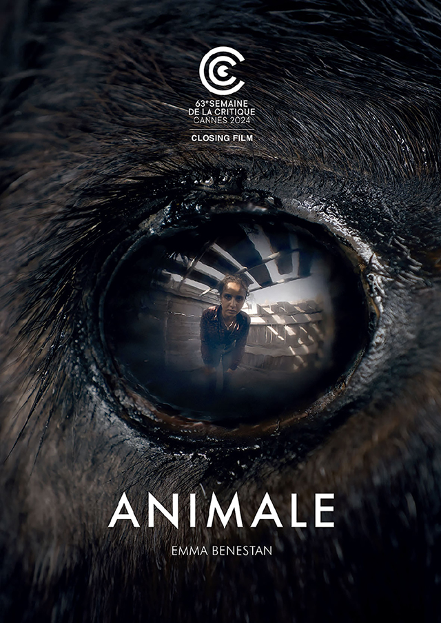 Animale